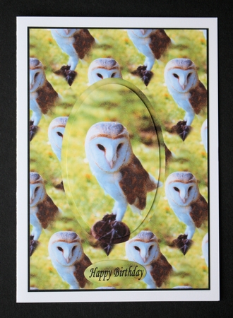 The Barn Owl by Marion Kimberley-Scott