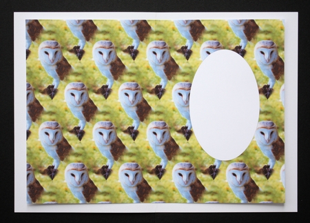 The Barn Owl Insert by Marion Kimberley-Scott