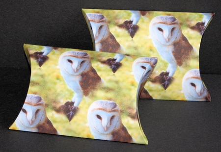 The Barn Owl Back Ground by Marion Kimberley-Scott