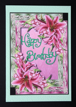 Double Satin Frame & Stargazer Lilies by Marion Kimberley-Scott
