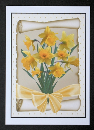 Daffodils on a Scroll with Bow A4 by Marion Kimberley-Scott