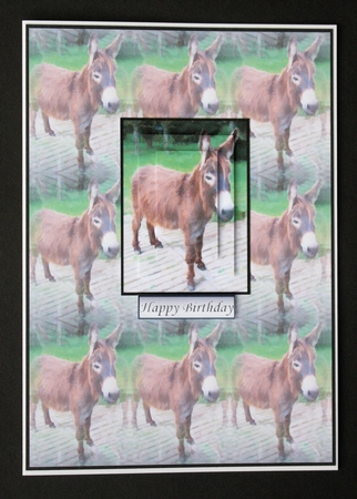 Donkey Pyramid with Background by Marion Kimberley-Scott