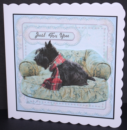 Scotty by Marion Kimberley-Scott