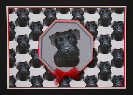 Patterdale Terrier Portrait Background by Marion Kimberley-Scott