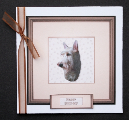 Scottish Terrier , Wheaten, Portrait Pyramid by Marion Kimberley-Scott