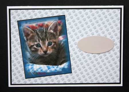 Cat Toppers No 2 by Marion Kimberley-Scott