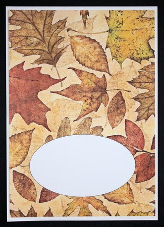 Leaf Peach Yellow Insert 2 by Marion Kimberley-Scott