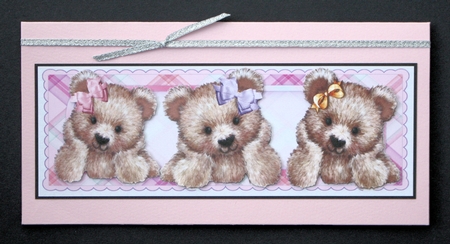 Cute & Cuddly Brown Bears in Dl Card by Marion Kimberley-Scott