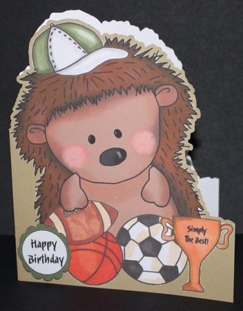 Sporty Hedgehog by Marion Kimberley-Scott