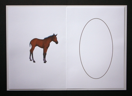 Bay Foal Insert by Marion Kimberley-Scott