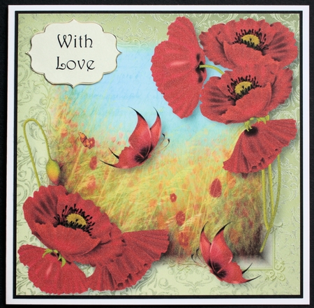 Pretty Poppies & Butterflies 8x8 Quick Topper by Marion Kimberley-Scott