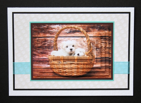 Cute Puppies in Basket Pyramid by Marion Kimberley-Scott