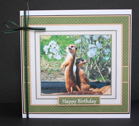 Meerkats by Marion Kimberley-Scott