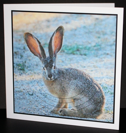 Spring Time - Eostra Easter - March Hare + Insert & Tag by Marion Kimberley-Scott