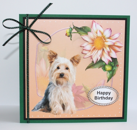 Dog in the Dahlias by Marion Kimberley-Scott