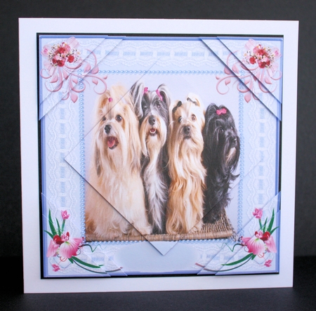 Best Buddies 2 Birthday by Marion Kimberley-Scott