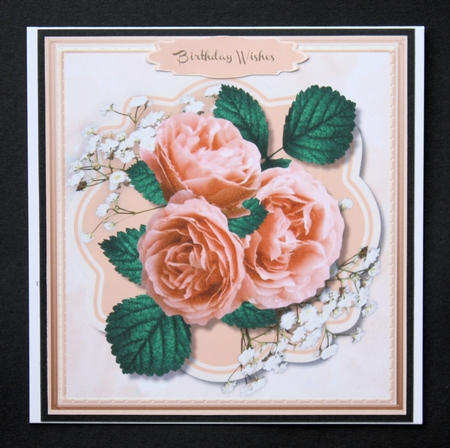 Beautiful Peach roses on Babys Breath  by Marion Kimberley-Scott