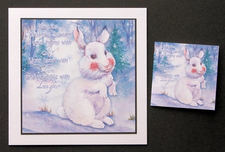 The Winter Rabbit by Marion Kimberley-Scott