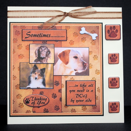 Sometimes.....Dogs by Marion Kimberley-Scott