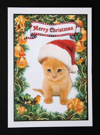 Cute Kitty in santa hat with little robin  by Marion Kimberley-Scott