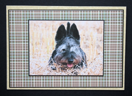 Christmas Backings Bumper Kit by Marion Kimberley-Scott