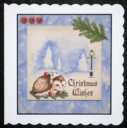 Christmas - Hedgehog Wrapped Up For Winter. by Marion Kimberley-Scott