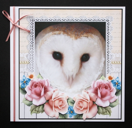 Adorable Barn Owl With Roses 8x8 Mini Kit  by Marion Kimberley-Scott
