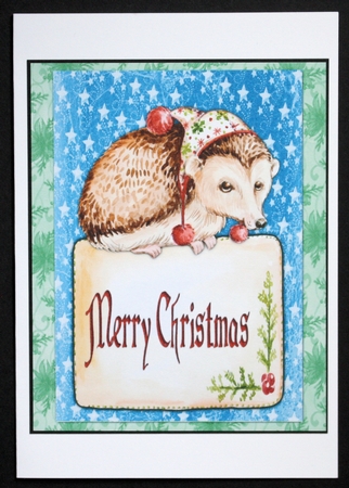 Christmas - Festive Hedgehog by Marion Kimberley-Scott