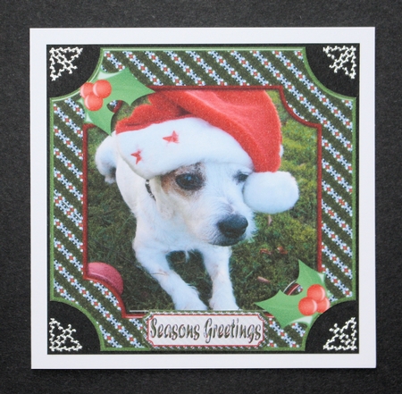 JJ PETS LOVE CHRISTMAS TOO JACK RUSSELL 8X8 by Marion Kimberley-Scott