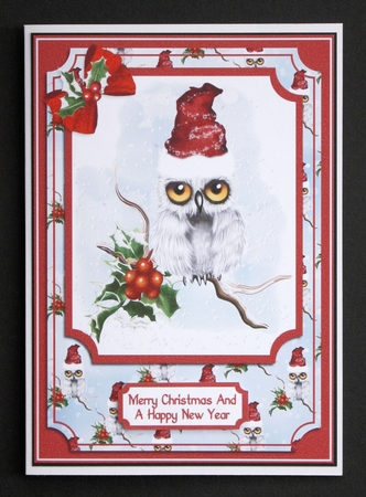 Snowy Christmas Owl by Marion Kimberley-Scott