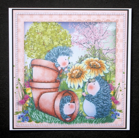 Pots of Hedgehog Love  by Marion Kimberley-Scott