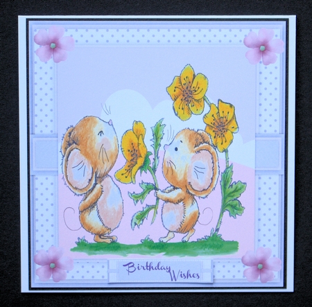 Chin-up-Buttercup by Marion Kimberley-Scott