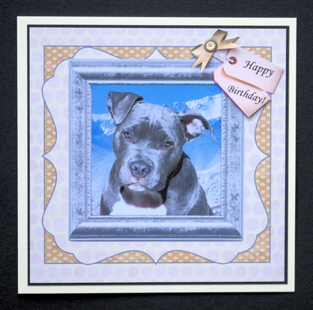 BLUE STAFFY  by Marion Kimberley-Scott