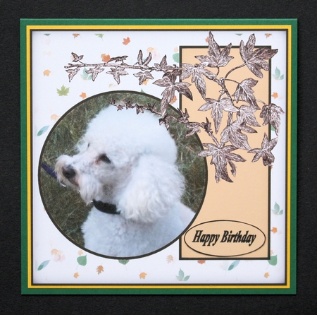 poodle pampering by Marion Kimberley-Scott