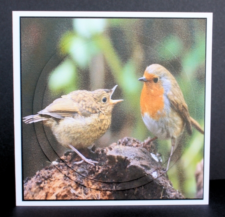 Winter - Feeding The Baby Robin - Pyrimage/pyramid + Insert & Tag by Marion Kimberley-Scott