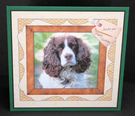 SPANIEL 2 by Marion Kimberley-Scott