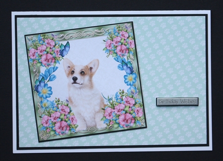 Corgi Birthday by Marion Kimberley-Scott