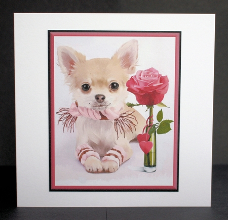 Pink Insert by Marion Kimberley-Scott