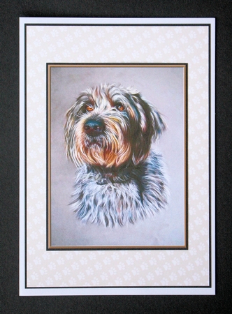  Monty Insert by Marion Kimberley-Scott