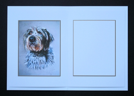  Monty Insert by Marion Kimberley-Scott