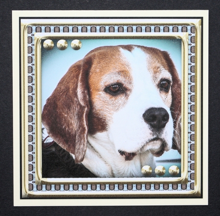  JJ LOVE MY DOG 8X8 BEAGLE by Marion Kimberley-Scott