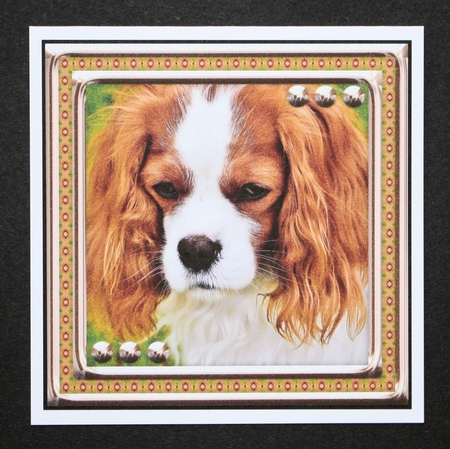 JJ LOVE MY DOG CAVALIER KING CHARLES 8X8 by Marion Kimberley-Scott