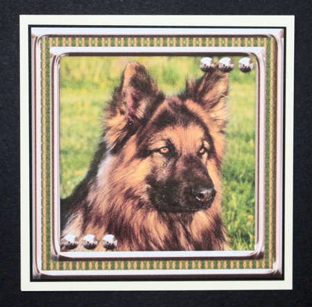 JJ LOVE MY DOG GERMAN SHEPHERD 8X8 by Marion Kimberley-Scott