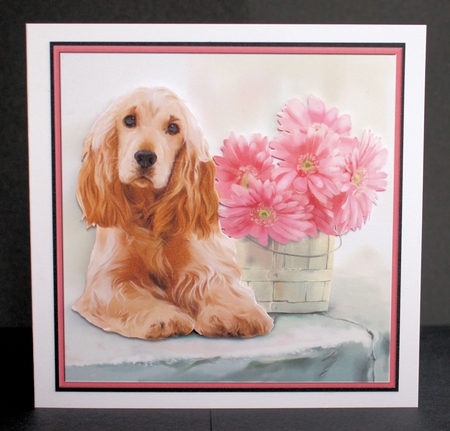 Sandi by Marion Kimberley-Scott