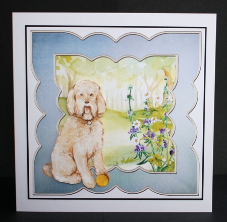 Labradoodle dog by Marion Kimberley-Scott