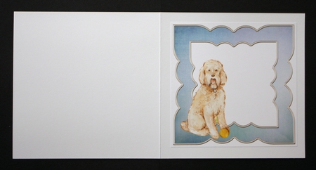 Labradoodle dog by Marion Kimberley-Scott