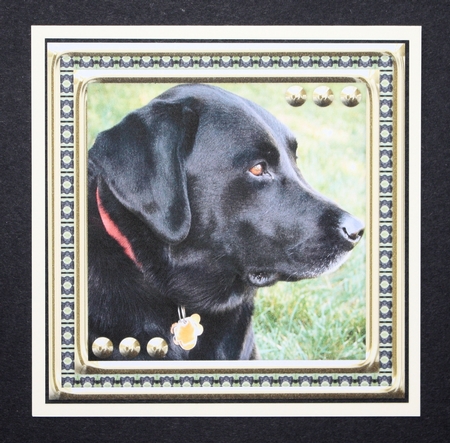 JJ LOVE MY DOG LABRADOR RETRIEVER 8X8 BLACK by Marion Kimberley-Scott