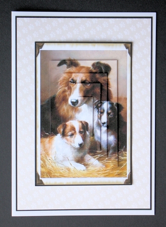 Mini Me Collies Sheet by Marion Kimberley-Scott