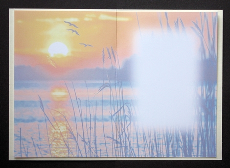 Sunset Insert  by Marion Kimberley-Scott