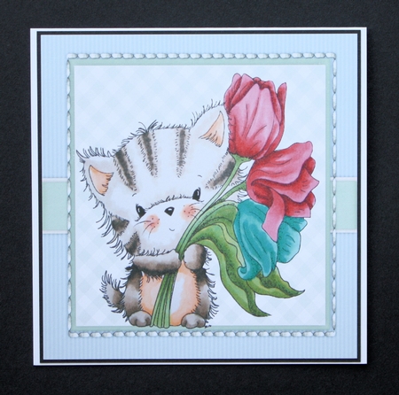 Tulip Kitty by Marion Kimberley-Scott